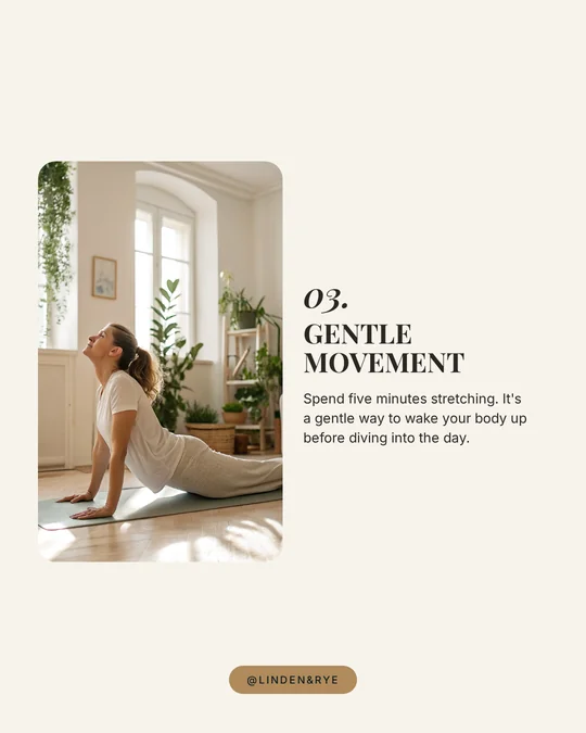 Linden & Rye slide 03: Gentle movement.